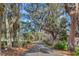 Picturesque nature trail lined with majestic oak trees draped in Spanish moss, creating a serene and inviting pathway at 960 Civitas Way, Winter Garden, FL 34787