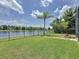 Scenic backyard with lush lawn, palm trees, wrought iron fence and a beautiful view of the lake at 9824 Secret Cove Ln, Orlando, FL 32832