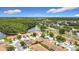 Aerial view showing the neighborhood homes near a lake, mature trees, and manicured green lawns in a desirable area at 3428 Village Green Ct, St Cloud, FL 34772