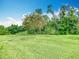 Expansive backyard featuring a well-maintained lawn and mature trees, perfect for outdoor activities at 4109 Vessel Ct, Kissimmee, FL 34746