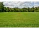 Open green area, providing a space for outdoor activities at 920 Spring Park St # 301, Celebration, FL 34747