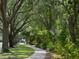 Scenic view of a tree-lined walking path, perfect for a stroll or jog in a peaceful neighborhood at 920 Spring Park St # 301, Celebration, FL 34747