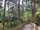 Scenic wooden walking path with natural wooden guardrails meandering through a lush green tropical forest at 920 Spring Park St # 301, Celebration, FL 34747
