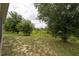 Expansive backyard with mature trees and landscaping at 205 Lakeshore Dr, Davenport, FL 33837