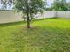 Lush green backyard with tall trees and white fence at 2479 White Lilly Dr, Kissimmee, FL 34747