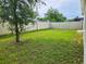 Spacious backyard with lush green grass and white fence, shaded by a tree at 2479 White Lilly Dr, Kissimmee, FL 34747