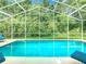 Clear pool under screen enclosure with a beautiful view of surrounding greenery at 341 Whittier St, Davenport, FL 33896