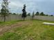 A spacious back yard with a light-colored fence and healthy green grass at 522 Feltrim Manor Rd, Haines City, FL 33844