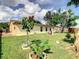 Well-maintained backyard with lush green grass and mature trees, offering privacy at 624 Royal Palm Dr, Kissimmee, FL 34743