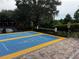 Community shuffleboard with clear markings and well-maintained surface, providing a fun and engaging activity for residents at 1106 Gran Bahama Blvd # 1106, Davenport, FL 33897