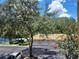 View of tennis courts, garages, and landscaping on a bright, sunny day at 1325 Lake Shadow Cir # 12205, Maitland, FL 32751