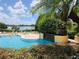 Community pool with sun loungers, palms and leafy landscaping, plus a view of the lake at 1325 Lake Shadow Cir # 12205, Maitland, FL 32751