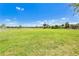 Large grassy area with trees and a lake in the distance, offering a peaceful and scenic community space at 1856 Castleton Dr, St Cloud, FL 34771