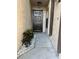 Inviting front entrance with walkway, decorative stone, and lush plants at 2900 S Semoran Blvd # 1, Orlando, FL 32822