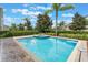Backyard pool and spa surrounded by a brick patio, lush landscaping and a safety net at 331 Pendant Ct, Kissimmee, FL 34747