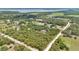 Aerial view of the property in a wooded area near a lake at 4410 Mildred Bass Rd, St Cloud, FL 34772