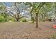 This expansive backyard has mature trees, play equipment and multiple structures at 4410 Mildred Bass Rd, St Cloud, FL 34772