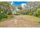 Large backyard with mature trees and sparse grass at 4410 Mildred Bass Rd, St Cloud, FL 34772