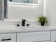 Close-up on a bathroom vanity with a modern faucet, marbled countertop, and decorative plant, all illuminated by a mirror at 5254 Mill Stream Dr, St Cloud, FL 34771