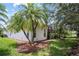 Lush green backyard featuring mature palm trees and access to the screened-in lanai at 759 Largo Pass, Poinciana, FL 34759