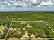 Aerial view of land and house with property boundary line at 11323 Kijik Trl, Groveland, FL 34736