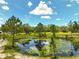 Scenic view of a pond with lily pads, surrounded by trees and open sky at 11323 Kijik Trl, Groveland, FL 34736