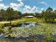 Scenic pond with lily pads reflecting the blue sky and home in the background at 11323 Kijik Trl, Groveland, FL 34736