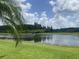 View of the pond surrounded by lush greenery at 2255 Stone Lake Ct, Orlando, FL 32824