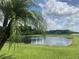 Scenic view of the pond with palm trees at 2255 Stone Lake Ct, Orlando, FL 32824