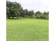 Expansive backyard featuring a large grassy area bordered by mature trees and lush greenery at 2805 Rodeo Dr, Kissimmee, FL 34746