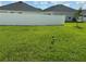 Fully fenced back yard with grass, offering privacy and space for outdoor activities at 1016 Cascade Dr, Davenport, FL 33837