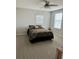 Bedroom features lots of natural light, a ceiling fan, and plush carpeting, offering a cozy retreat at 1016 Cascade Dr, Davenport, FL 33837