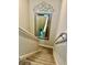 Carpeted staircase descending with a decorative mirror adding depth and character at 1016 Cascade Dr, Davenport, FL 33837