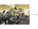 Fitness center featuring modern exercise equipment for residents to maintain a healthy lifestyle at 2219 San Vittorino Cir # 106, Kissimmee, FL 34741