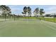 Well-maintained tennis court with green surface, surrounded by trees and a fence for recreational play at 2685 Oneida Loop, Kissimmee, FL 34747