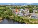 Aerial view of a home with a screened pool overlooking a pond surrounded by lush greenery at 307 Balmoral Ct, Davenport, FL 33896