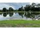 Scenic pond view with a fountain, lush greenery, and tranquil atmosphere on a cloudy day at 3301 Soho St # 104, Orlando, FL 32835