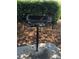 A community grill is set on a concrete base among fallen leaves, ready for outdoor cooking at 8121 Fan Palm Way, Kissimmee, FL 34747