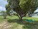 Mature trees in the yard in front of the house with a tree swing at 15311 Johns Lake Rd, Clermont, FL 34711