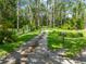 Long driveway lined by tall pine trees leading to a secluded property with a rural aesthetic at 2471 Jenscot Rd, St Cloud, FL 34771