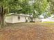 View of backyard featuring a large tree and enclosed patio area at 3804 Anthony Ln, Orlando, FL 32822