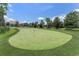 Outdoor putting green with manicured turf, enhancing the recreational facilities in a residential area at 8947 Stinger Dr, Davenport, FL 33896