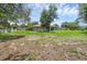 Expansive backyard with plenty of room for outdoor activities, featuring a grill and mature trees at 166 Paradise Island Dr, Haines City, FL 33844