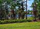 Backyard view featuring a lake surrounded by tall trees, shrubs, and lush vegetation, providing a peaceful backdrop at 600 Lake Butler Ave, Osteen, FL 32764