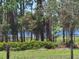 Backyard showing a natural wooded area behind the property with a view of a lake at 600 Lake Butler Ave, Osteen, FL 32764