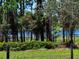 Scenic view of the lake through lush foliage, offering a tranquil and private setting at 600 Lake Butler Ave, Osteen, FL 32764