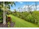 Lush backyard featuring vibrant greenery and mature landscaping with palm tree at 2736 Southland St, St Cloud, FL 34772