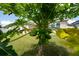 Lush backyard showcasing a papaya tree laden with fruit, adding tropical charm to the property at 1703 Leatherback Ln, St Cloud, FL 34771