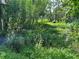 Lush backyard featuring vibrant green vegetation, mature trees, and a serene water feature at 2700 Cherokee Rd, St Cloud, FL 34772