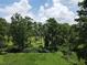 Expansive backyard featuring mature landscaping and beautiful green scenery with a line of trees at 2700 Cherokee Rd, St Cloud, FL 34772